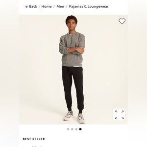 NWT Jcrew Double-knit jogger pant in size M